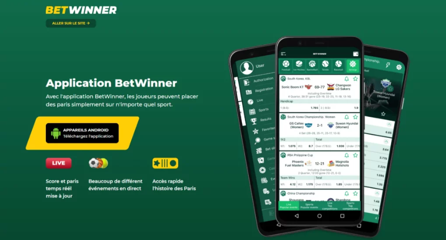 Tout ce que vous devez savoir sur Betwinner Casino